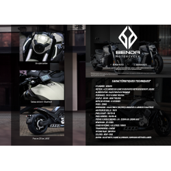 Flyers BENDA ROCK (set van 10)
