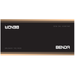 Tapis BENDA 260X100