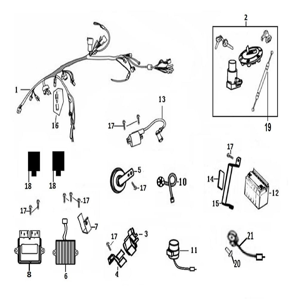 Vue faisceaux et composant electrique                                                                                           