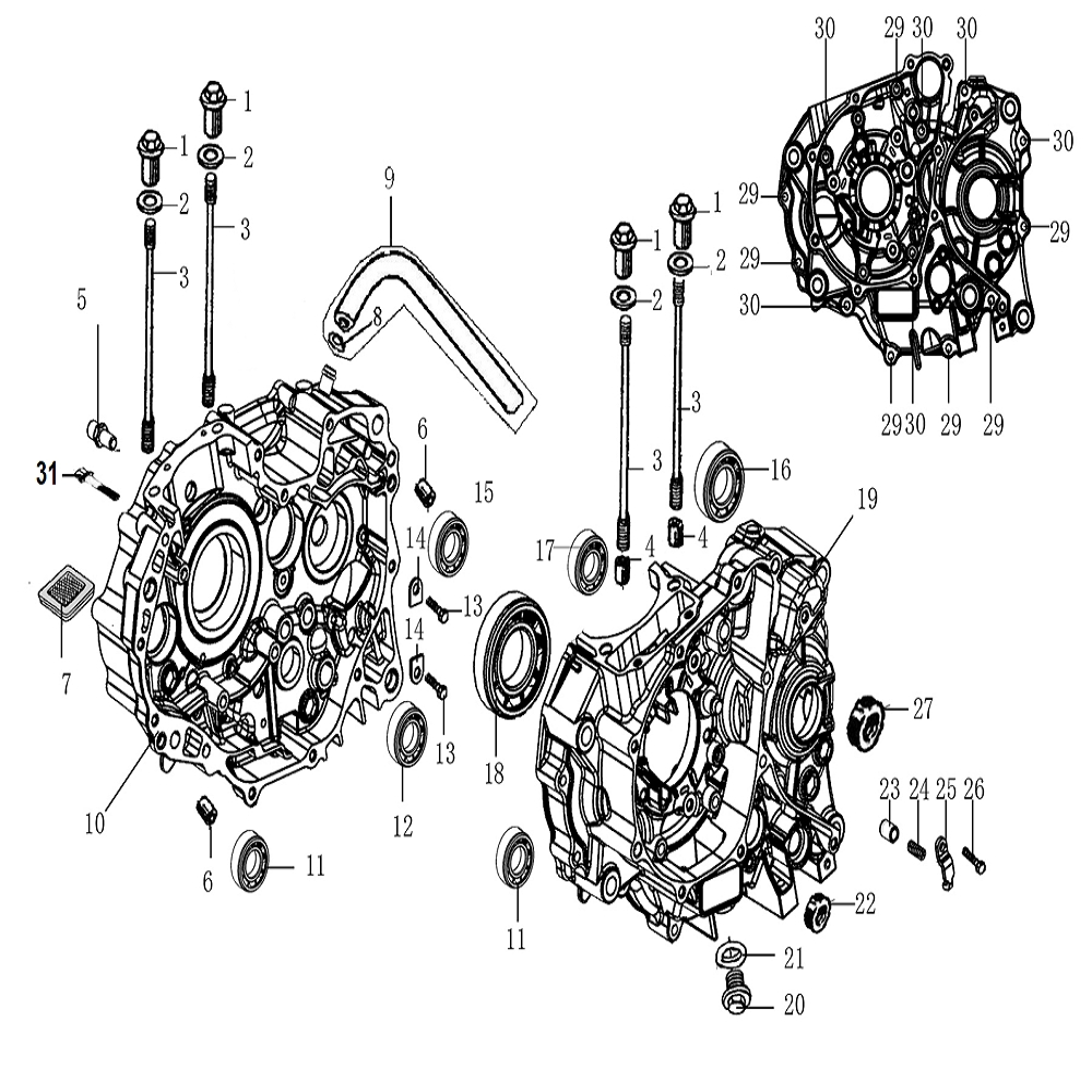 Vue Carters moteur                                                                                                              